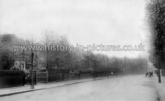 Willesden Lane, Willesden Green, Cricklewood, London. c.1909.